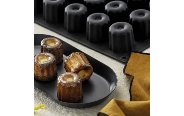 FLEXIPAN MOULE 30 MI EI-FX-02106-BA